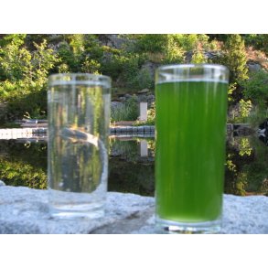 Pærer og reservedeler uv